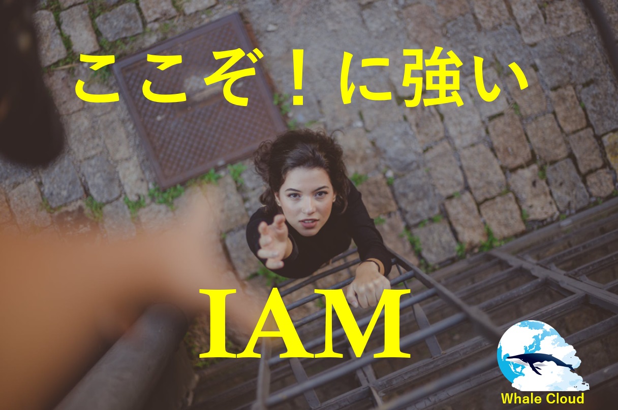 「いざ」にこそ力を発揮。IAM/ライオンあくび。