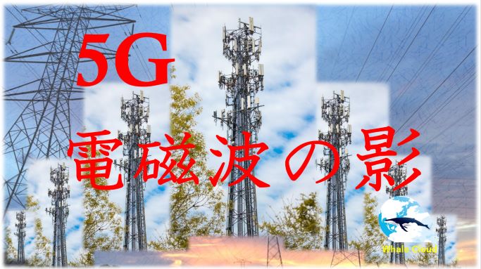 IAM以前の問題 ～5G・電磁波の影響～