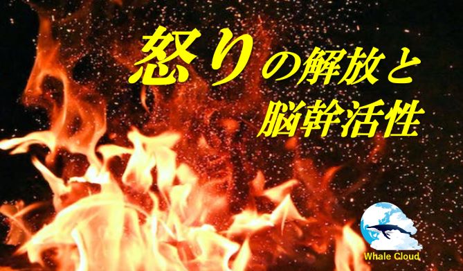 怒りの解放と間脳活性　～「心ここにあらず」から、「今ここ」への着地～