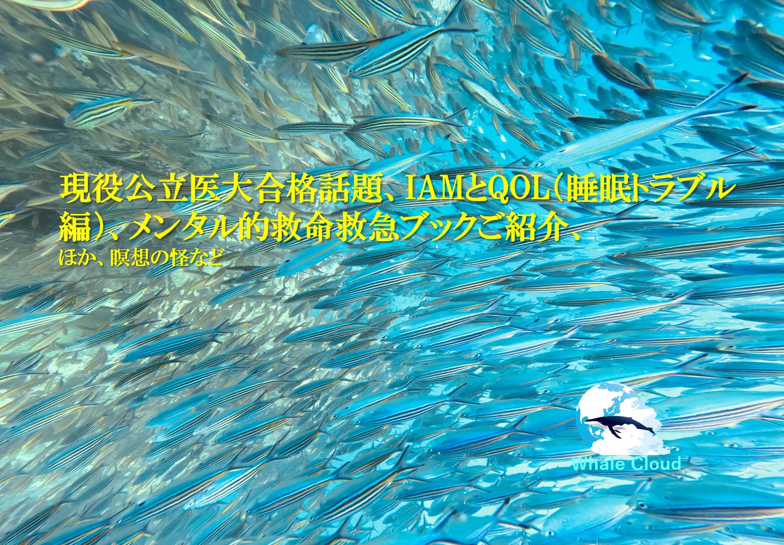 今年も！現役公立医大合格話題、IAMとQOL（睡眠トラブル編）、メンタル的救命救急ブックご紹介、ほか瞑想の怪など