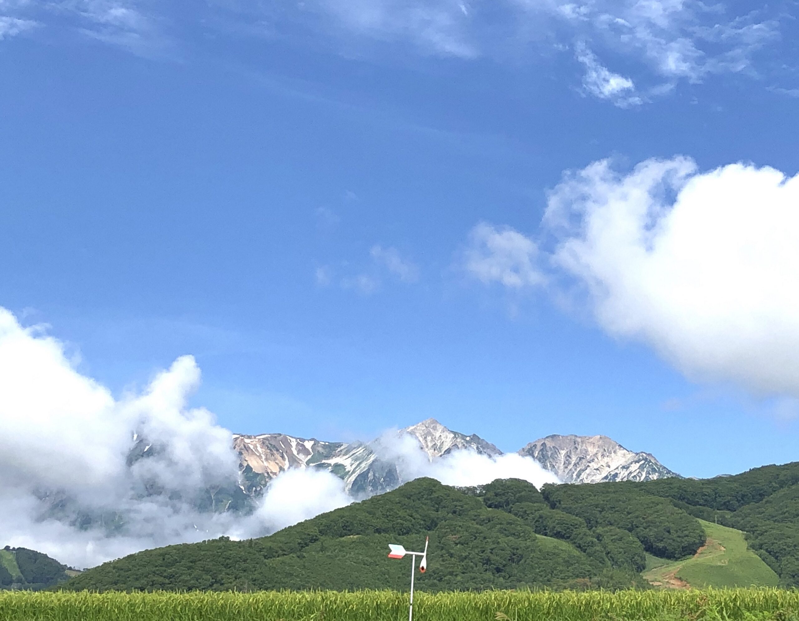 痛みの変化が・・・