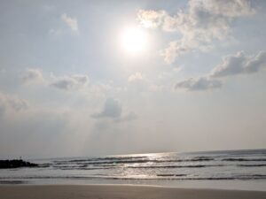 IAM認定プラクティショナーになりました🍀