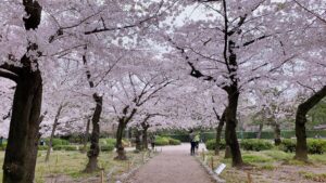 「見ないフリしていても確かにそこに君の中に」