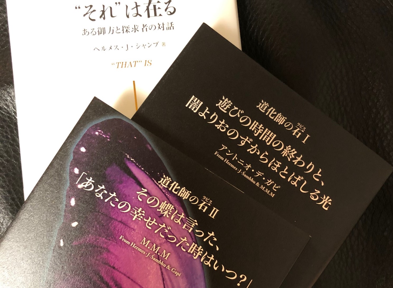 『それは在る』著者ヘルメス・J・シャンブさんと・・・