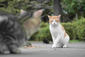 緊張は自分から生まれている　施術記録